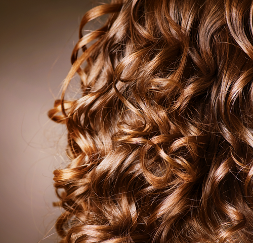 curly-brown.png