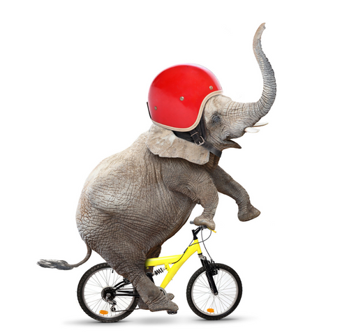 elefant.png