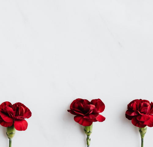 red-flower.png