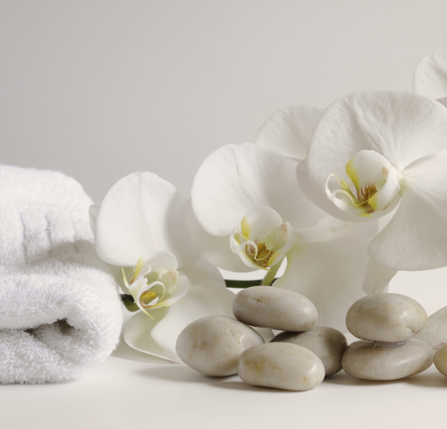 spa-orchidee.png
