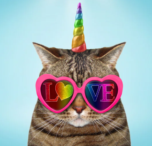 unicorn-cat.png