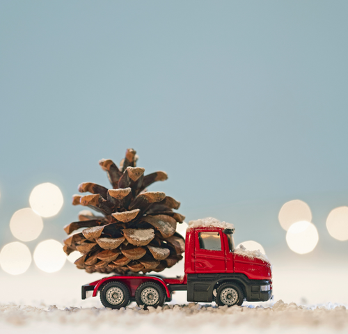 xmas-car.png